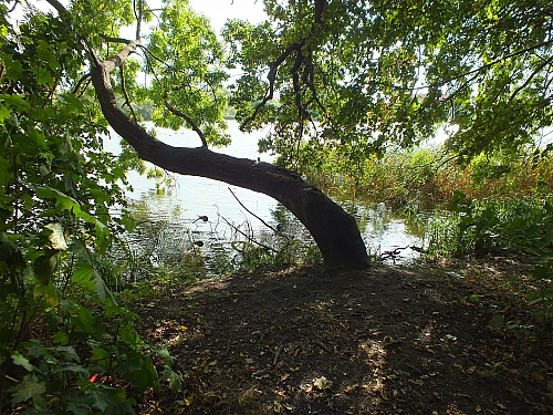 © R.Thiel
29.09.2012 11:38:43
Stralsund
Ostsee 2012
Ostsee-Fotos