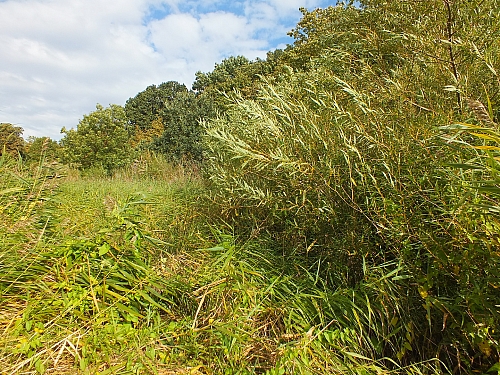 © R.Thiel
29.09.2012 11:43:42
Stralsund
Ostsee 2012
Ostsee-Fotos