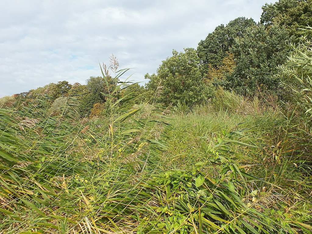 © R.Thiel
29.09.2012 11:43:33
Stralsund
Ostsee 2012
Ostsee-Fotos