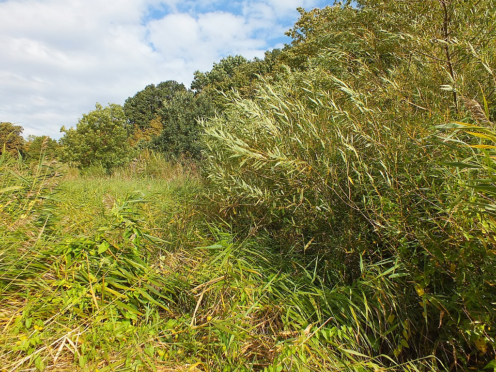 © R.Thiel
29.09.2012 11:43:42
Stralsund
Ostsee 2012
Ostsee-Fotos
