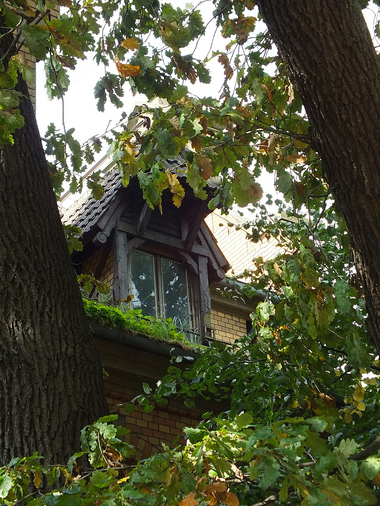 © R.Thiel
29.09.2012 12:12:41
Stralsund
Ostsee 2012
Ostsee-Fotos