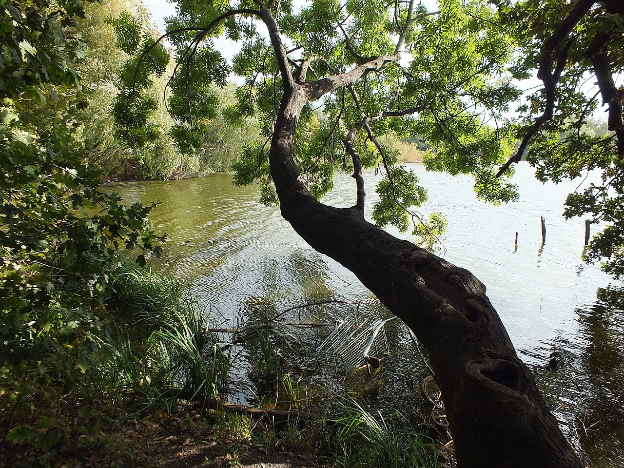 © R.Thiel
29.09.2012 11:38:20
Stralsund
Ostsee 2012
Ostsee-Fotos