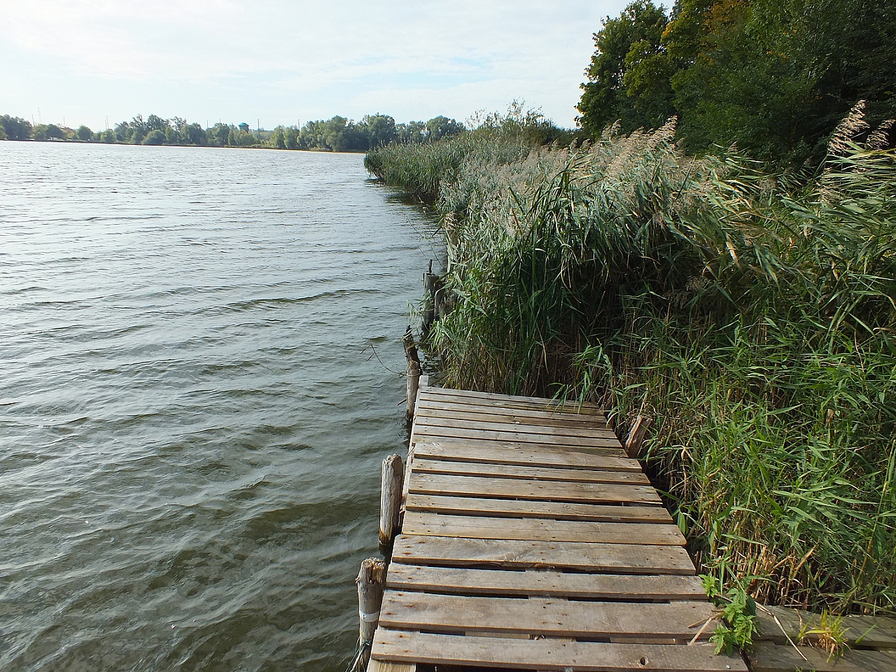 © R.Thiel
29.09.2012 11:39:50
Stralsund
Ostsee 2012
Ostsee-Fotos