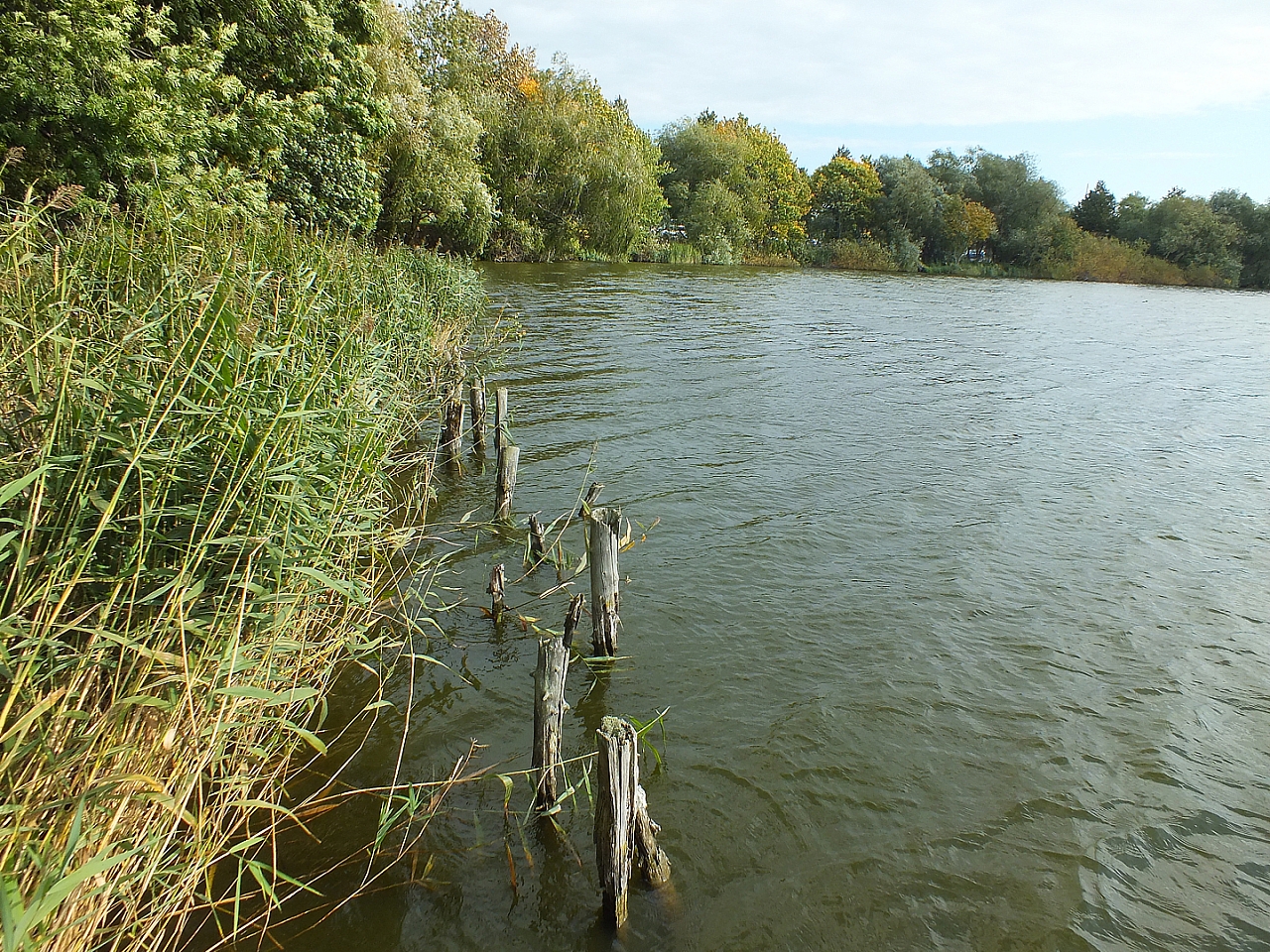 © R.Thiel
29.09.2012 11:40:08
Stralsund
Ostsee 2012
Ostsee-Fotos